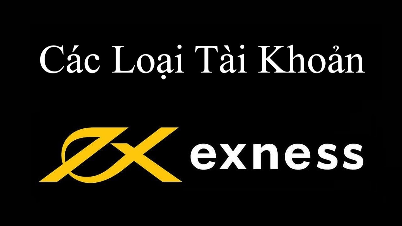 Các loại tài khoản Exness cho người mới và trader chuyên nghiệp