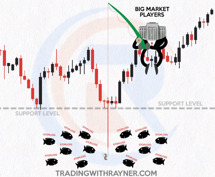 Sàn giao dịch forex săn stop loss của nhà đầu tư