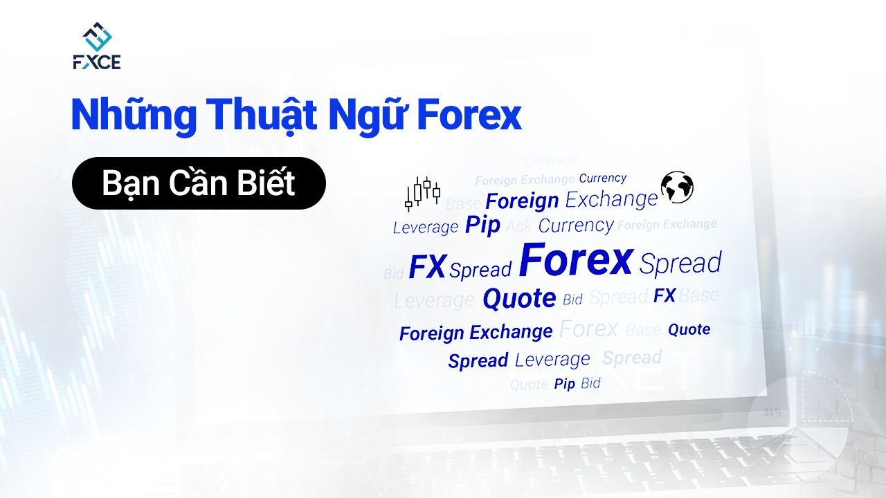 Hình ảnh minh họa các thuật ngữ Forex cơ bản giúp người mới bắt đầu dễ hình dung